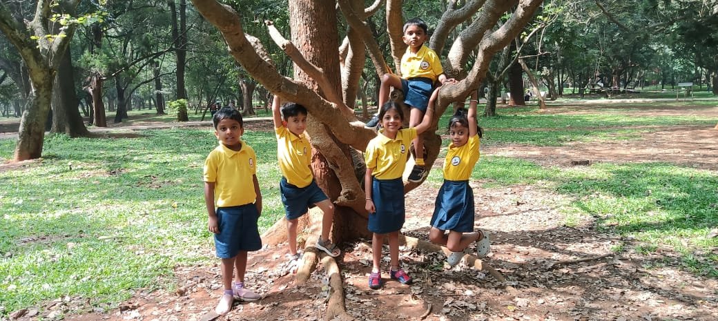 WhatsApp Image 2025-10-28 at 4.18.23 PM (2)